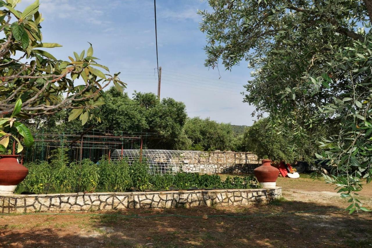 Villa Penelope'S House Skála Kallirákhis Exterior foto